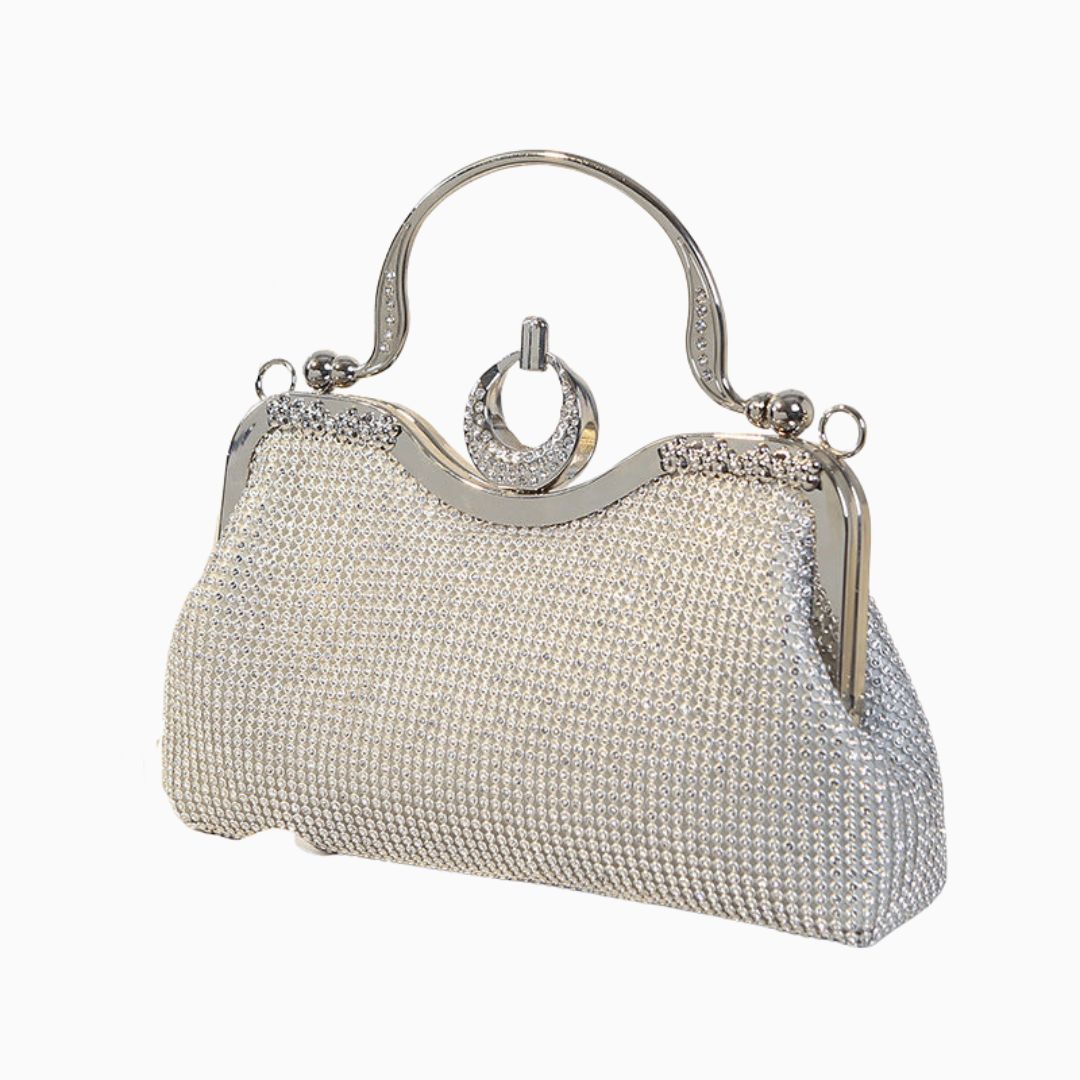 Moonlight Crystal Frame Clutch – FIORENE