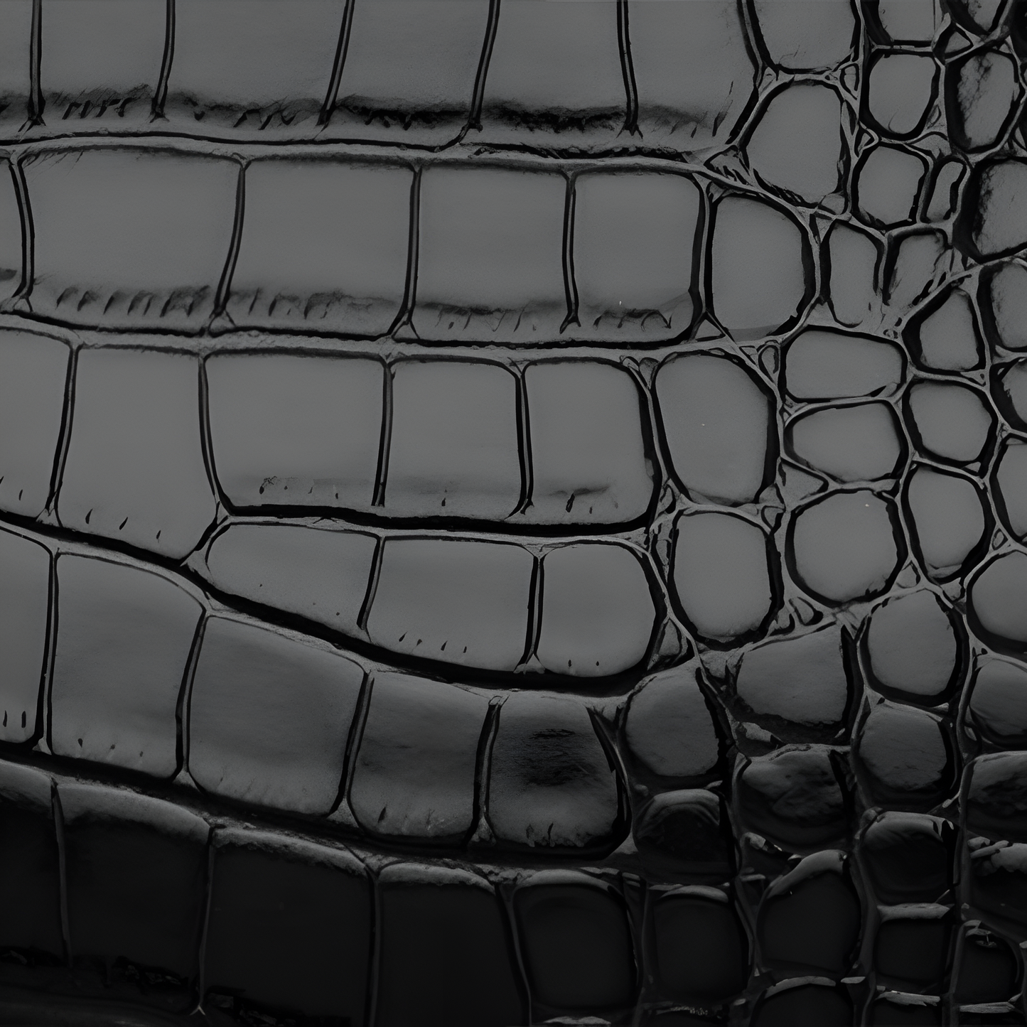 Crocodile Square Handle Tote Bag – FIORENE