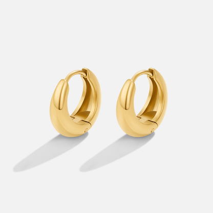 Golden Sculpted Earrings – FIORENE