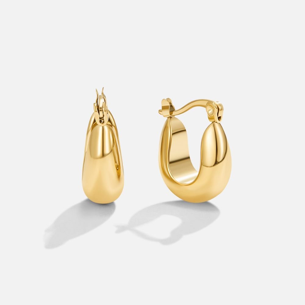 Gilded Chroma Hoop Earring – FIORENE
